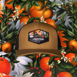 Load image into Gallery viewer, Porch Gazer Snapback Hat
